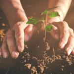 homme plantant un arbre